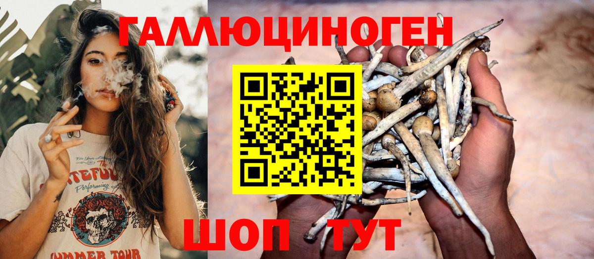 Галлюциногенные грибы MAGIC MUSHROOMS Нижневартовск